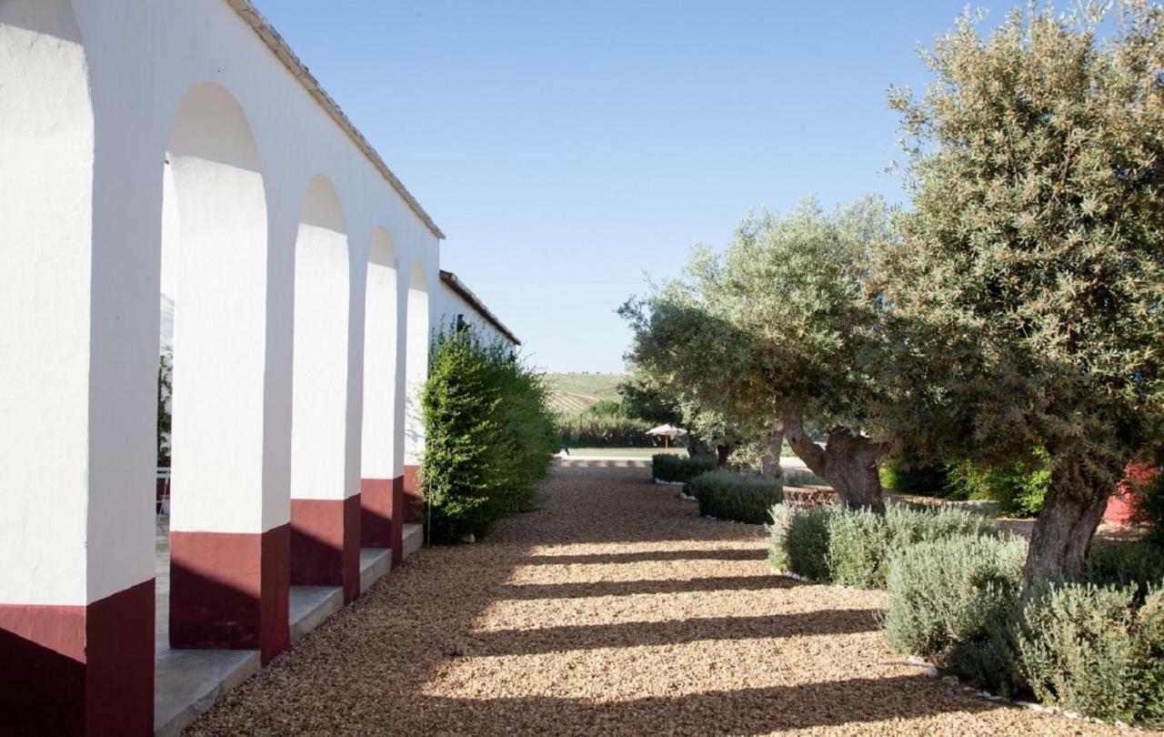 B&B Quinta da Chaminé Ferreira Do Alentejo Esterno foto